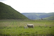 Nome File=La_vale_del_silenzio.jpg
Dimensione File=420KB
Dimensioni=1200x800
Data aggiunta=Apr 18, 2024 La_vale_del_silenzio.jpg