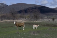 Nome File=Madre_fiera.jpg
Dimensione File=485KB
Dimensioni=1200x800
Data aggiunta=Apr 02, 2024 Madre_fiera.jpg