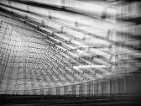 IMG 3636-web