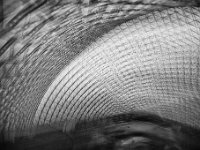 IMG 3638-web
