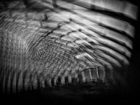 IMG 3639-web