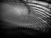 IMG 3640-web