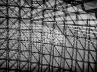 IMG 3644-web