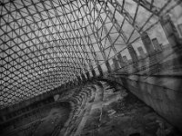 IMG 3645-web