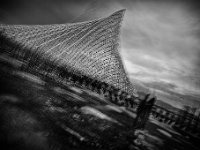 IMG 3648-web