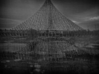 IMG 3653-web
