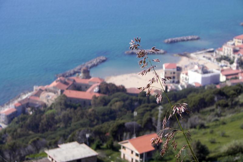 100_1775.JPG
