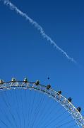 IMG_0081