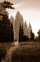 cimit59-