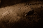 crazyshoe46-
