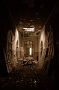 crazyshoe52-