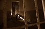 crazyshoe61-