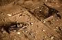 crazyshoe62-