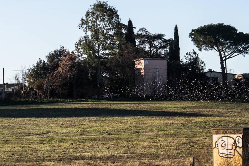 Clicca per l'immagine full size