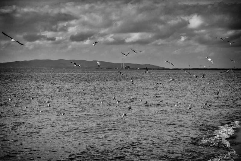 Clicca per l'immagine full size