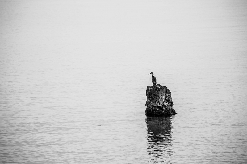 Clicca per l'immagine full size