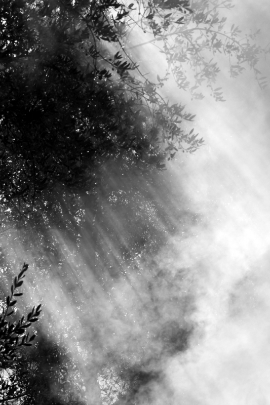 Clicca per l'immagine full size