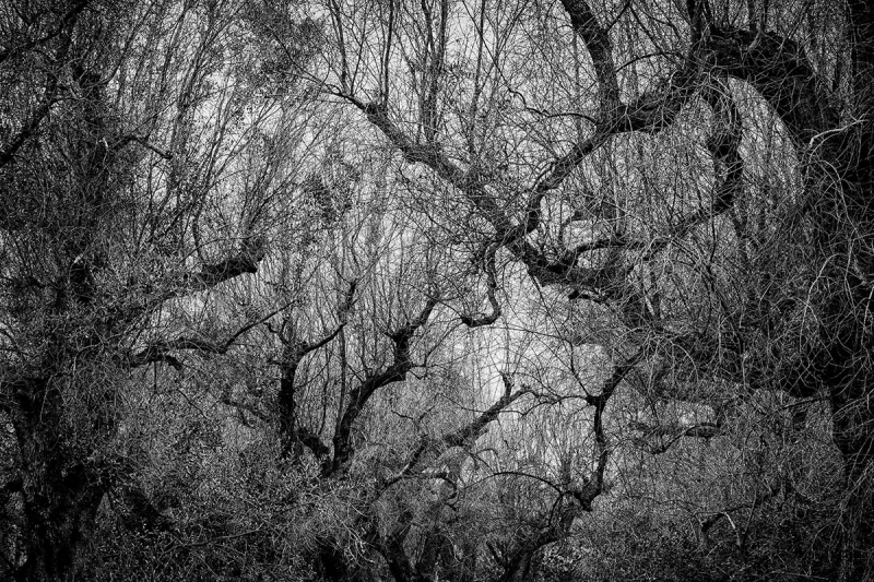 Clicca per l'immagine full size