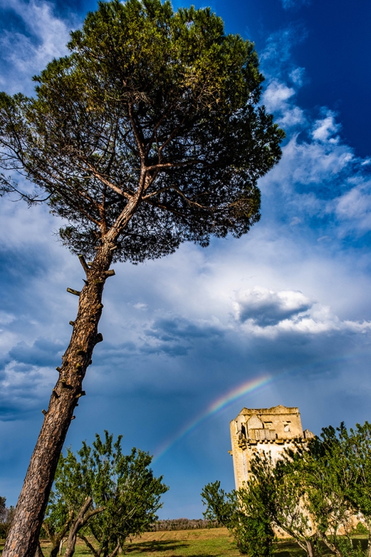Clicca per l'immagine full size