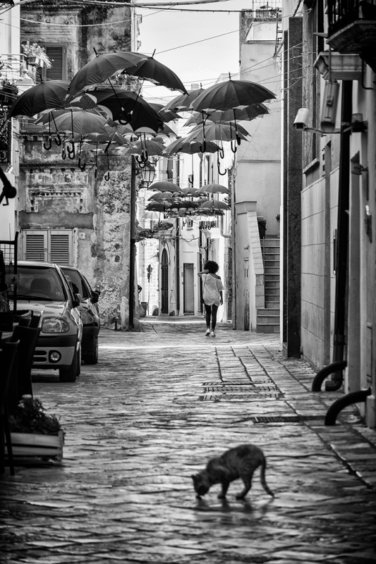 Clicca per l'immagine full size