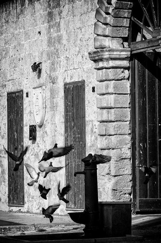 Clicca per l'immagine full size