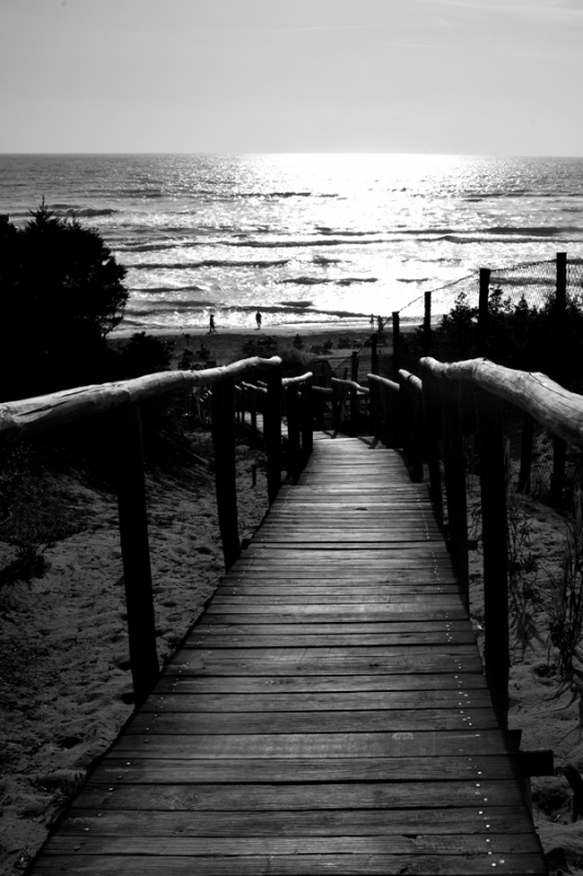 Clicca per l'immagine full size