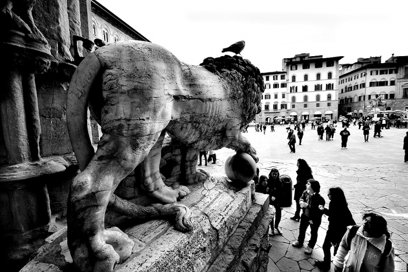 Clicca per l'immagine full size