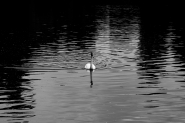 Nome File=04062023eDSCF0094.jpg
Dimensione File=514KB
Dimensioni=1200x800
Data aggiunta=Giu 06, 2023 04062023eDSCF0094.jpg
