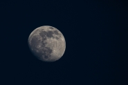 Filename=13052022eA08A5988.jpg
Filesize=461KB
Dimensions=1200x800
Date added=May 14, 2022 13052022eA08A5988.jpg