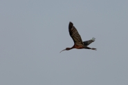 Filename=15042024-A08A9499.jpg
Filesize=243KB
Dimensions=1200x800
Date added=Apr 15, 2024 15042024-A08A9499.jpg