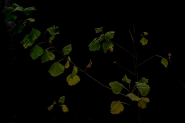 26122017eDSCF2047.jpg