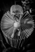 27052023eDSCF0024.jpg