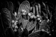 28082022-A08A6334.jpg