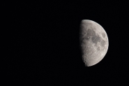 A08A5574.jpg