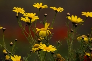Nome File=A08A9537.jpg
Dimensione File=450KB
Dimensioni=1200x800
Data aggiunta=Apr 29, 2019 A08A9537.jpg