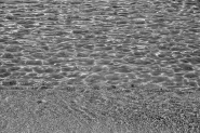Filename=DSCF1585.jpg
Filesize=500KB
Dimensions=1200x800
Date added=Oct 14, 2023 DSCF1585.jpg