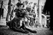 DSCF4815.jpg