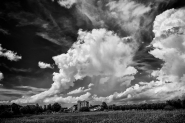 DSCF4885.jpg