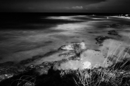 DSCF4981.jpg