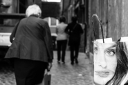 DSCF7647.jpg
