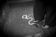 IMG_25912012.jpg IMG_25912012.jpg
