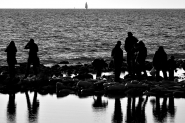 IMG_6122.jpg IMG_6122.jpg