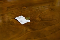 IMG_7334.jpg