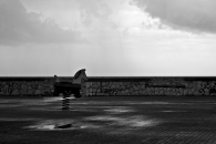 torkioIMG_3363.jpg