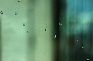 Nome File=piove_.jpg
Dimensione File=163KB
Dimensioni=800x533
Data aggiunta=Lug 13, 2014 piove_.jpg