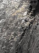 Nome File=fiore.jpg
Dimensione File=299KB
Dimensioni=600x800
Data aggiunta=Giu 30, 2007 fiore.jpg