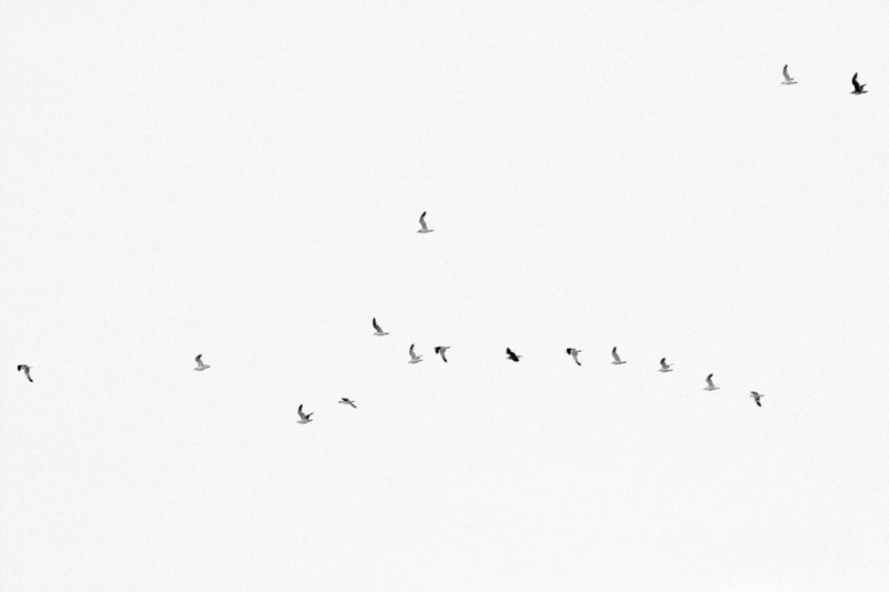Clicca per l'immagine full size