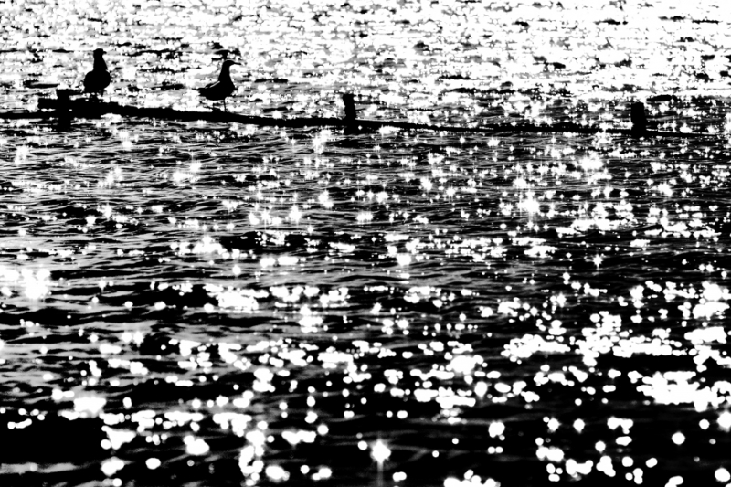 Clicca per l'immagine full size