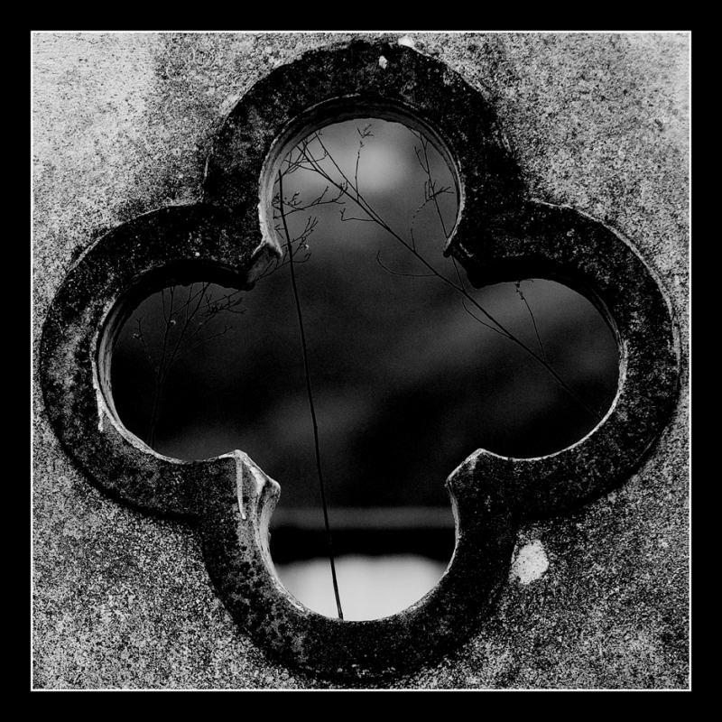 Clicca per l'immagine full size