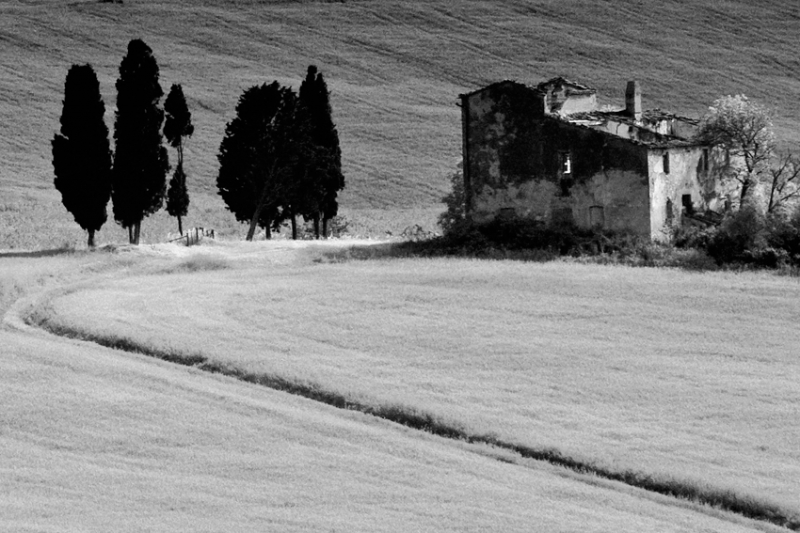 Clicca per l'immagine full size